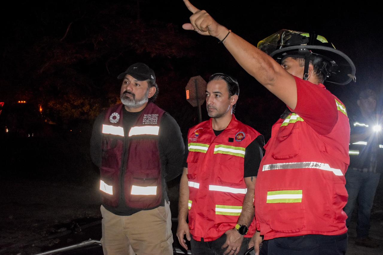 uploads/6/32/01 (2700).Jpeg